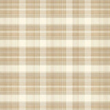 Sophisticated Neutral Check(Beige)
