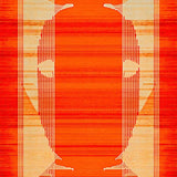 Ultra Soft Area Rug, Non Slip, Stain Resistant, Washable Area Rugs for Living Room, Bedroom, Wildlife-Inspired Abstract Geometry(Orange)