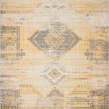 Ultra Soft Area Rug, Non Slip, Stain Resistant, Washable Area Rugs for Living Room, Bedroom, Large Beige Area with a Boho Chic Distressed Design and Earthy Hues(Beige)