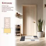 Ultra Soft Area Rug, Non Slip, Stain Resistant, Washable Area Rugs for Living Room, Bedroom, Small Area for Entryway Beige Grey Modern Abstract Design(Gray)