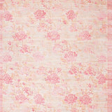 Ultra Soft Area Rug, Non Slip, Stain Resistant, Washable Area Rugs for Living Room, Bedroom, Chic Pink Floral Motif(Pink)