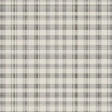 Transitional Gray Checked Delight(Beige)
