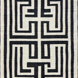 Ultra Soft Area Rug, Non Slip, Stain Resistant, Washable Area Rugs for Living Room, Bedroom, Contemporary Black and Ivory Fusion(Black)
