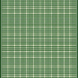 Ultra Soft Area Rug, Non Slip, Stain Resistant, Washable Area Rugs for Living Room, Bedroom, Rustic Fluffy Shag Textured Motif(Green)