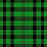 Contemporary Buffalo Plaid Aesthetic(Green)