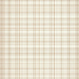 Ultra Soft Area Rug, Non Slip, Stain Resistant, Washable Area Rugs for Living Room, Bedroom, Vintage Checkered Area Beige Cream Retro Farmhouse Aesthetic(Beige)