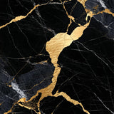 Ultra Soft Area Rug, Non Slip, Stain Resistant, Washable Area Rugs for Living Room, Bedroom, Marble Pattern Bedroom Area Rug Non-Shedding(Black)