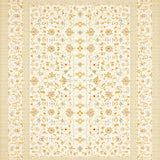 Ultra Soft Area Rug, Non Slip, Stain Resistant, Washable Area Rugs for Living Room, Bedroom, Floral Beige Low Pile Small Area(Ivory)