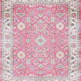 Ultra Soft Area Rug, Non Slip, Stain Resistant, Washable Area Rugs for Living Room, Bedroom, Unique Vintage Abstract Art Fusion(Pink)