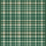 Sophisticated Beige Plaid Visual Appeal(Green)