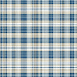 Coastal Chic Plaid Aesthetic(Beige)