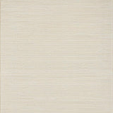 Ultra Soft Area Rug, Non Slip, Stain Resistant, Washable Area Rugs for Living Room, Bedroom, Contemporary Ivory Home Office Non-Shedding Carpet(Beige)