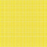 Ultra Soft Area Rug, Non Slip, Stain Resistant, Washable Area Rugs for Living Room, Bedroom, Vibrant Shaggy Luxe Aesthetic(Yellow)