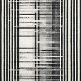 Ultra Soft Area Rug, Non Slip, Stain Resistant, Washable Area Rugs for Living Room, Bedroom, Classic Dual Tone Zebra Inspired Geometric Entryway Decoration(Black)