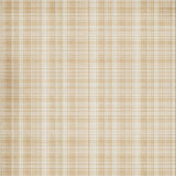 Luxurious Cozy Shaggy Appeal(Beige)