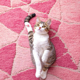 Ultra Soft Area Rug, Non Slip, Stain Resistant, Washable Area Rugs for Living Room, Bedroom, Modern Washable Cartoon Cat Playroom Carpet(Pink)