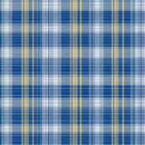 Luxurious Classic Blue Harmony(Blue)