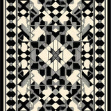 Ultra Soft Area Rug, Non Slip, Stain Resistant, Washable Area Rugs for Living Room, Bedroom, Unique Abstract Sonoma in Black/Beige(Beige)