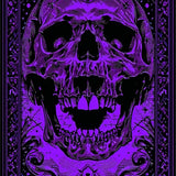 Ultra Soft Area Rug, Non Slip, Stain Resistant, Washable Area Rugs for Living Room, Bedroom, Hauntingly Unique Gothic Motif(Purple)