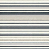 Ultra Soft Area Rug, Non Slip, Stain Resistant, Washable Area Rugs for Living Room, Bedroom, Elegant Neutral Striped Aesthetic(Black)