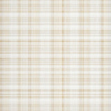 Classic Tailored Gingham Visual Appeal(Beige)