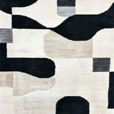 Ultra Soft Area Rug, Non Slip, Stain Resistant, Washable Area Rugs for Living Room, Bedroom, Neutral Ivory Black Carpet for Minimalist High Traffic Spaces(Black)