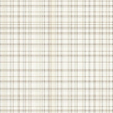 Inviting Simple Checkered Style(Beige)