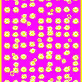 Playful Pink Daisy(Pink)