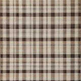 Chic Hued Trellis Arrangement(Beige)