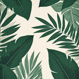 Stylish Black Green(Green)