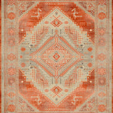 Ultra Soft Area Rug, Non Slip, Stain Resistant, Washable Area Rugs for Living Room, Bedroom, Earthy Tones Distressed Floral Motif(Orange)