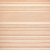 Ultra Soft Area Rug, Non Slip, Stain Resistant, Washable Area Rugs for Living Room, Bedroom, Beige Area Linear Terracotta(Orange)