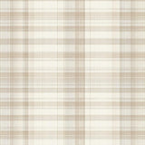 Vibrant Warm Neutral Weave(Beige)