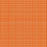 Ultra Soft Area Rug, Non Slip, Stain Resistant, Washable Area Rugs for Living Room, Bedroom, Sophisticated Neutral Shag Style(Orange)