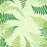 Sage Green Elegant Shag Design(Green)