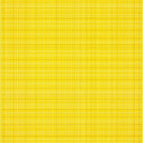 Ultra Soft Area Rug, Non Slip, Stain Resistant, Washable Area Rugs for Living Room, Bedroom, Sunny Checkered Modern Aesthetic(Yellow)