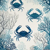 Ultra Soft Area Rug, Non Slip, Stain Resistant, Washable Area Rugs for Living Room, Bedroom, Seaside Crab Pattern Rug Modern Nautical Washable Floor Carpet(Blue)