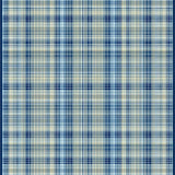 Sophisticated Light Blue Checks(Blue)