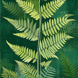 Ultra Soft Area Rug, Non Slip, Stain Resistant, Washable Area Rugs for Living Room, Bedroom, Rustic Textured Nature Theme(Green)