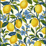 Sun Kissed Lemon Grove Inspired Rug with Stylized Floral Accents(Yellow)