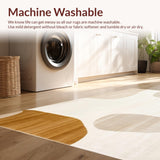 Ultra Soft Area Rug, Non Slip, Stain Resistant, Washable Area Rugs for Living Room, Bedroom, Muted Beige with Boho and Warm Neutral Color Variations(Beige)