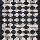 Ultra Soft Area Rug, Non Slip, Stain Resistant, Washable Area Rugs for Living Room, Bedroom, Elegant Abstract Patterned Entrance Mat(Black)