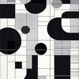 Dynamic Geometric Visual Aesthetics(Black)