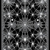 Artistic Web Inspired Home Decor(Black)