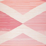 Chic Modern Plush Accent(Pink)