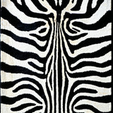 Ultra Soft Area Rug, Non Slip, Stain Resistant, Washable Area Rugs for Living Room, Bedroom, Safari Zebra Print Bedroom Faux Suede Area Rug(Black)