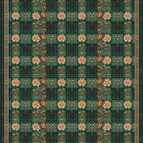 Ultra Soft Area Rug, Non Slip, Stain Resistant, Washable Area Rugs for Living Room, Bedroom, Colorful Botanical Plaid for(Green)
