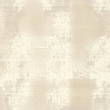 Indoor Beige Profile Non Slip Entry(Beige)