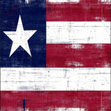 Ultra Soft Area Rug, Non Slip, Stain Resistant, Washable Area Rugs for Living Room, Bedroom, Bold Aged Flag Aesthetic(Red)