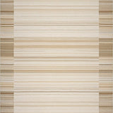 Ultra Soft Area Rug, Non Slip, Stain Resistant, Washable Area Rugs for Living Room, Bedroom, Rustic Natural Earthy Textures(Beige)